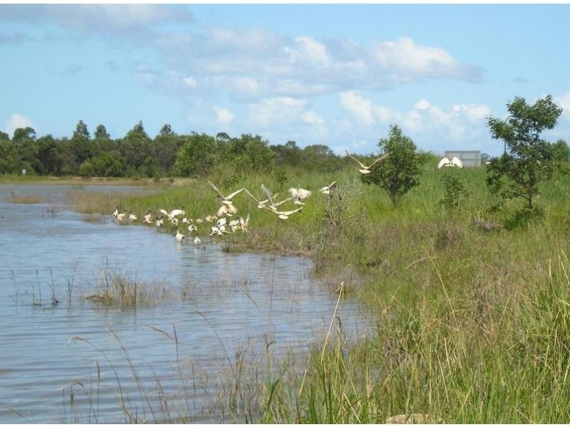 North Lakes QLD 4509