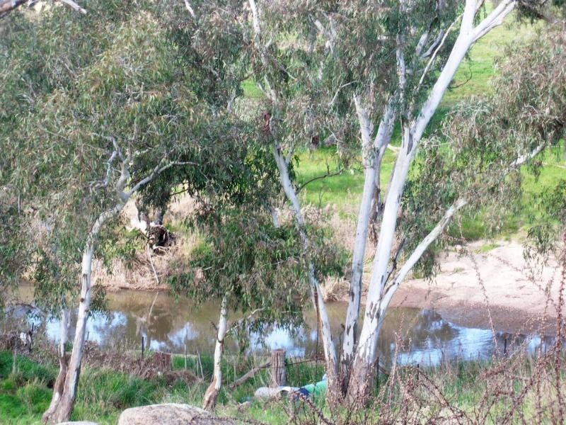 151 Belvoir Park Road, Bendigo District, Lockwood South VIC 3551