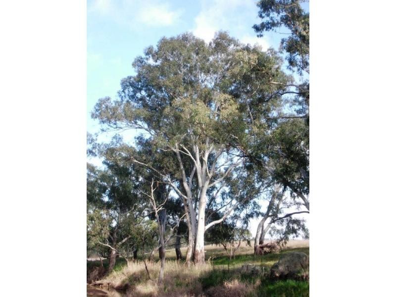 151 Belvoir Park Road, Bendigo District, Lockwood South VIC 3551