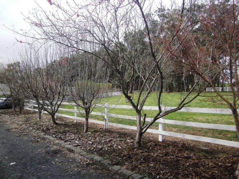 35 Bayard Drive, Pakenham Upper VIC 3810