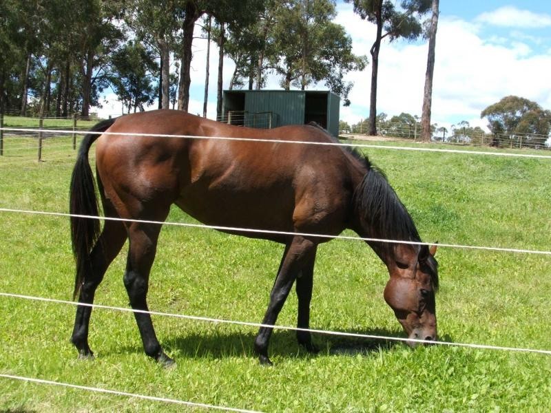 255 Mann Road, Pakenham Upper VIC 3810