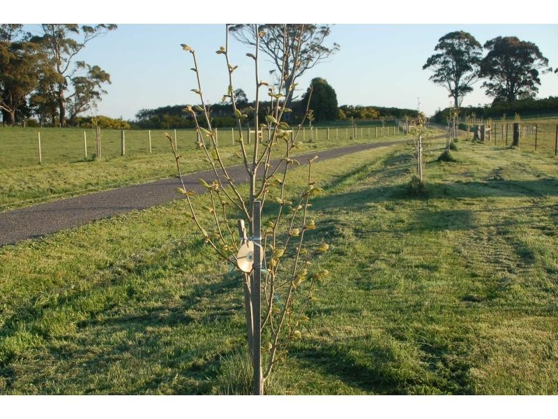 185 Rothes Road, Little Hampton VIC 3458