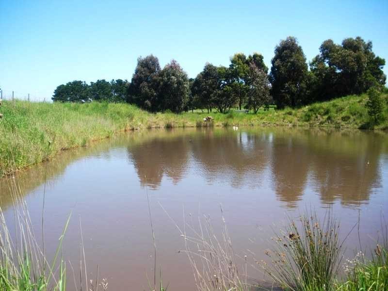 1336 Riddell Road, Riddells Creek VIC 3431