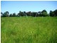 1336 Riddell Road, Riddells Creek VIC 3431