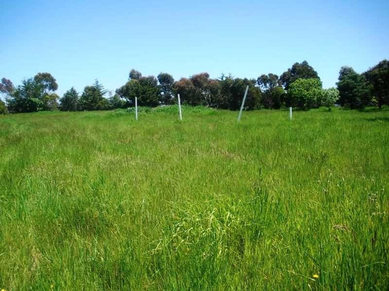1336 Riddell Road, Riddells Creek VIC 3431