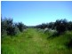 1336 Riddell Road, Riddells Creek VIC 3431