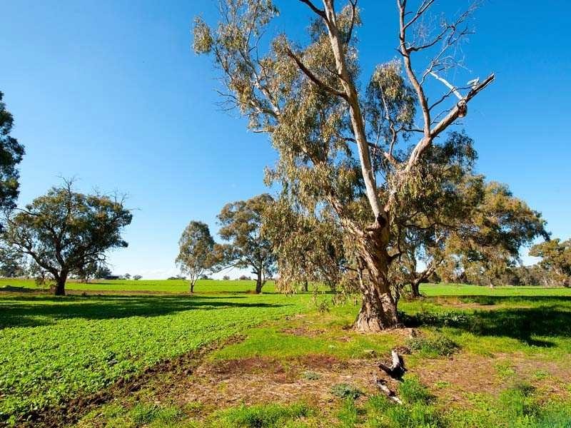 3974 Bendigo Maryborough Road, Eddington VIC 3472