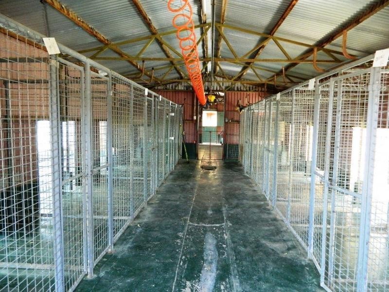 200 Muckleford School Road, Castlemaine District, Muckleford VIC 3451