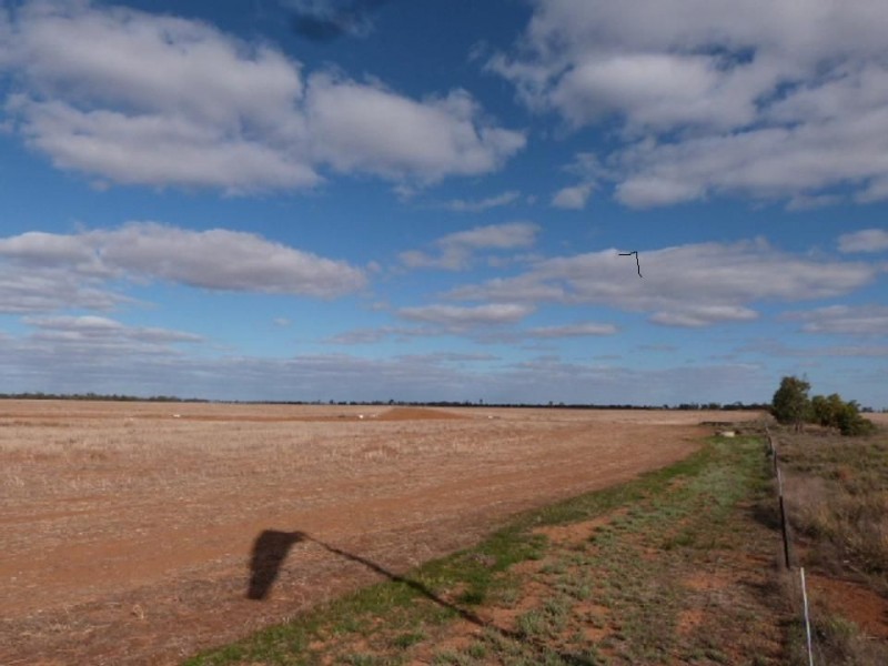 5790 Donald Swan Hill Road, Dumosa VIC 3527