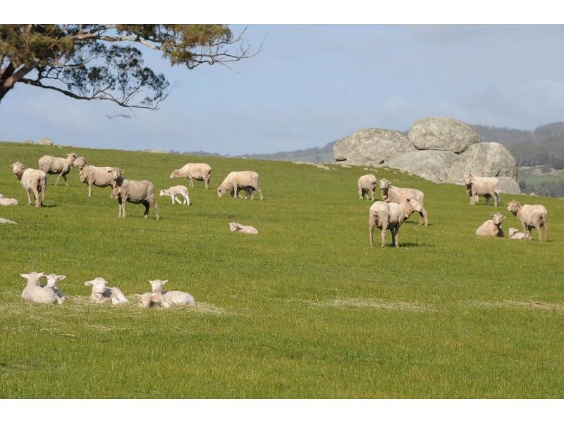 26 Zig Zag Road, Nulla Vale VIC 3435
