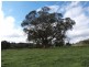 285 Gum’s Road, Caveat VIC 3660