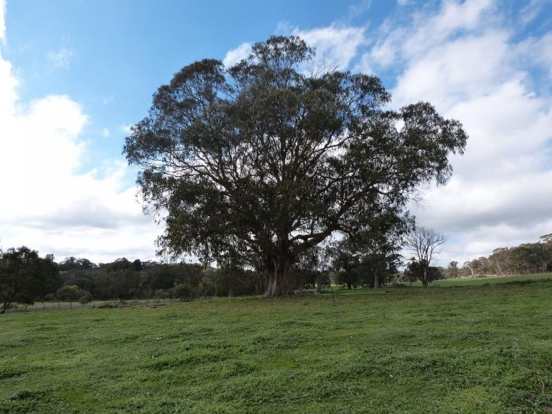 285 Gum’s Road, Caveat VIC 3660