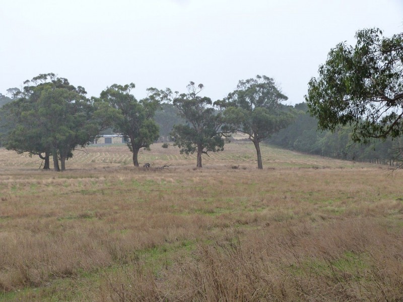 504 Yankee Flat Road, Mount Helen VIC 3350