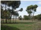 1336 Riddell Road, Riddells Creek VIC 3431