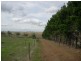 1336 Riddell Road, Riddells Creek VIC 3431