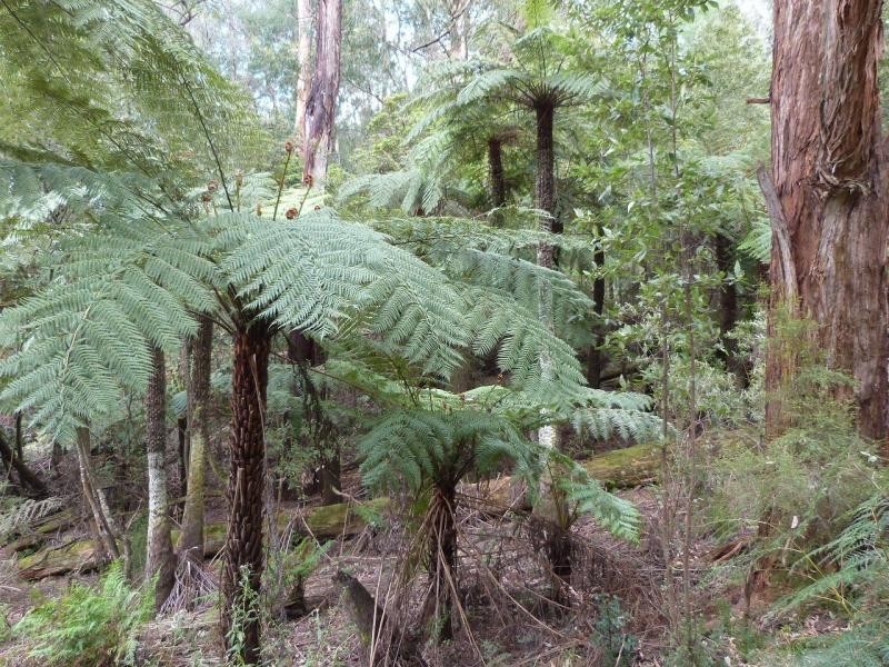 105 Mann Road, Pakenham Upper VIC 3810