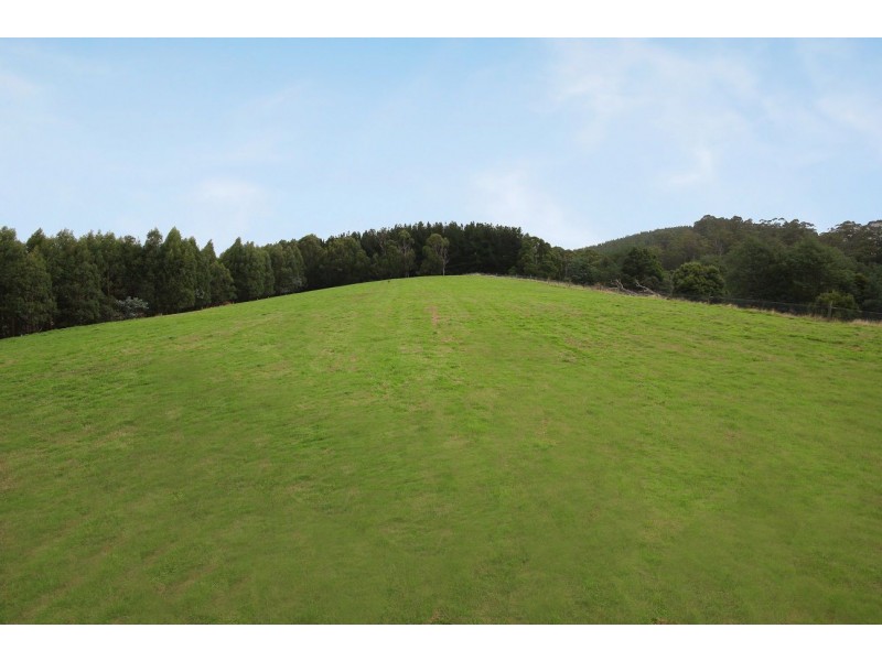 2005 Tarra Valley Road, Tarra Valley VIC 3971