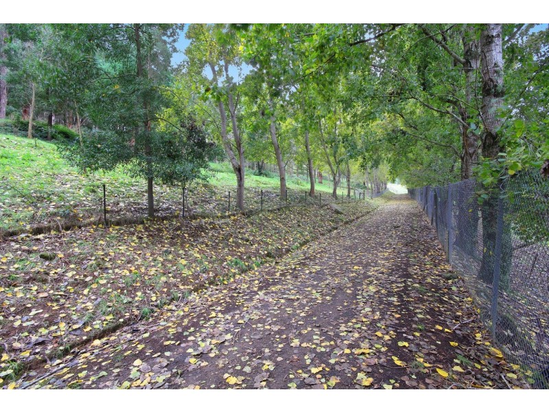 2005 Tarra Valley Road, Tarra Valley VIC 3971