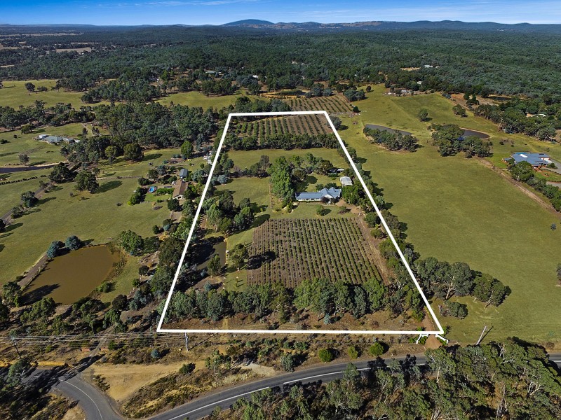 384 Tannery Lane, Strathfieldsaye VIC 3551