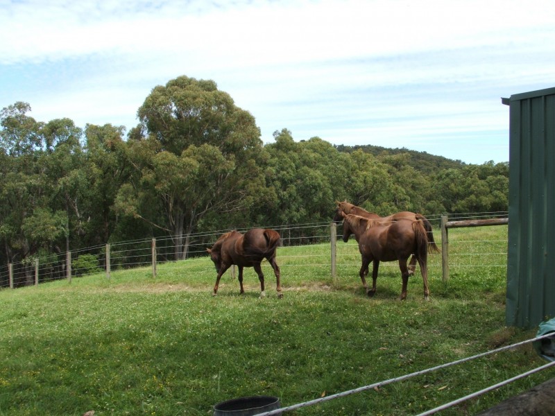 255 Mann Rd, Pakenham Upper VIC 3810