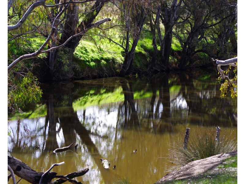 89 Brownes Lane, Axedale VIC 3551