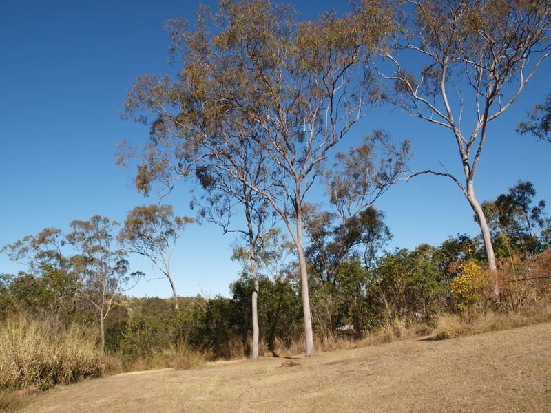 32 School Street, Mount Chalmers QLD 4702