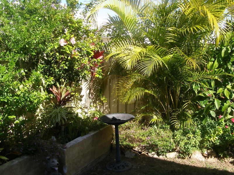 23/19 Schuffenhauer Street, Norman Gardens, Rockhampton City QLD 4700