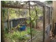 794 Scenic Highway, Kinka Beach QLD 4703