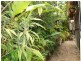 794 Scenic Highway, Kinka Beach QLD 4703