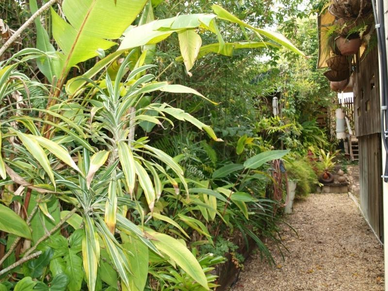 794 Scenic Highway, Kinka Beach QLD 4703