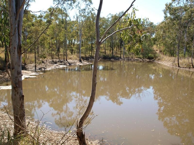 100 Costello Road, Tungamull, Cawarral QLD 4702