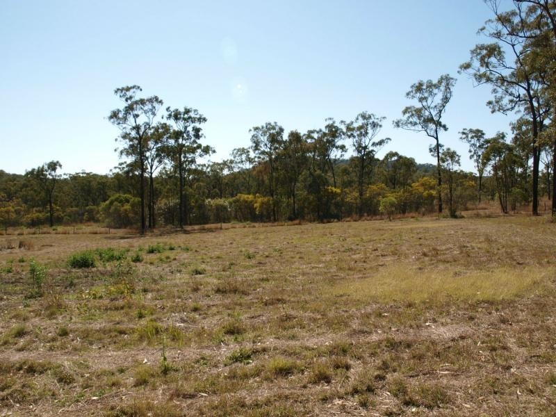 100 Costello Road, Tungamull, Cawarral QLD 4702