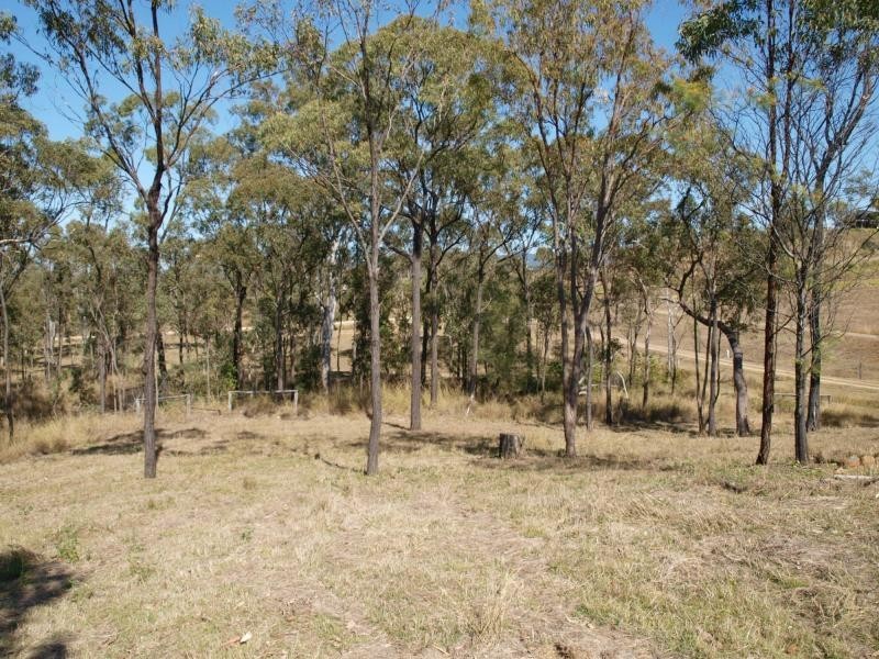 100 Costello Road, Tungamull, Cawarral QLD 4702