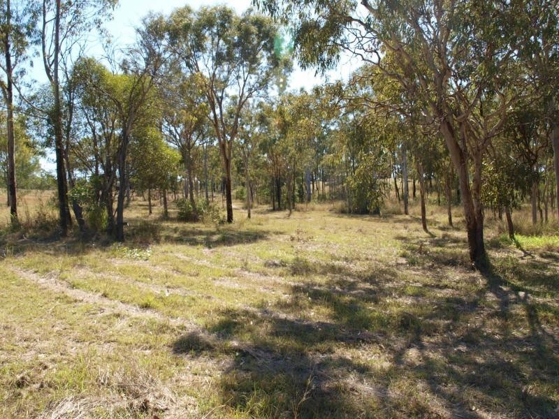 100 Costello Road, Tungamull, Cawarral QLD 4702