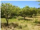 150 Woodvale Park Road, Adelaide Park, Yeppoon QLD 4703