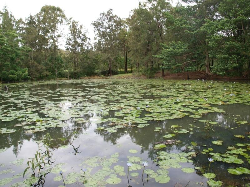 9 Clinton Road, Cawarral QLD 4702