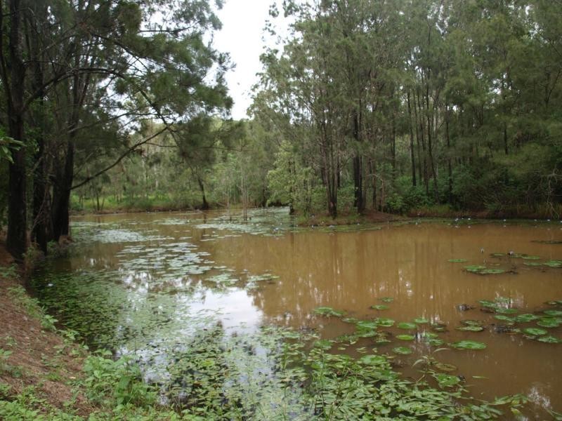 9 Clinton Road, Cawarral QLD 4702