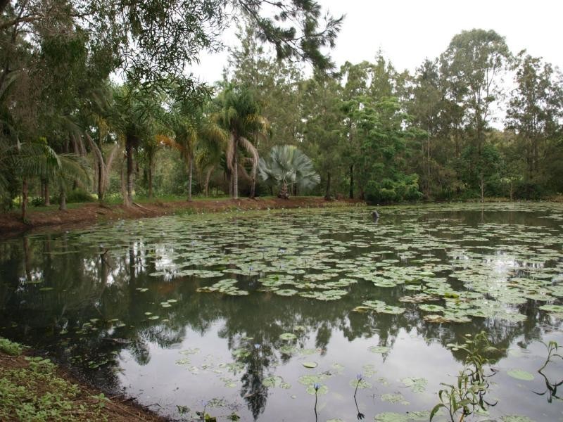 9 Clinton Road, Cawarral QLD 4702