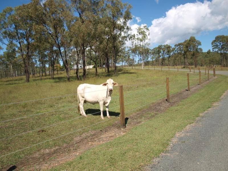 140 Glenora Road, Cawarral QLD 4702