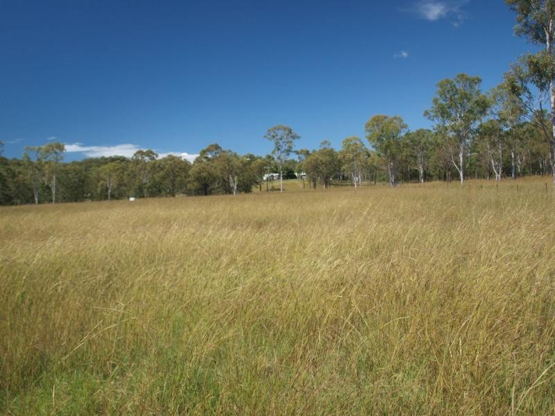 140 Glenora Road, Cawarral QLD 4702