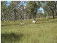 140 Glenora Road, Cawarral QLD 4702