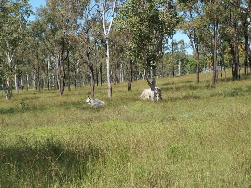 140 Glenora Road, Cawarral QLD 4702