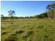 51 Cawarral Road, Tungamull, Cawarral QLD 4702