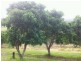 L4 11 Skybolt Road, Valdora QLD 4561