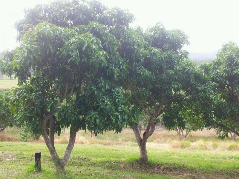 L4 11 Skybolt Road, Valdora QLD 4561