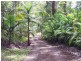 Yandina QLD 4561