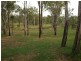 1053 Yeppoon Road, Ironpot, Cawarral QLD 4702