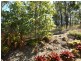 7 Felix Street, Cawarral QLD 4702