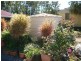 7 Felix Street, Cawarral QLD 4702
