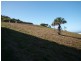 9 Livistonia Crescent, Tanby Point Estate, Emu Park QLD 4710